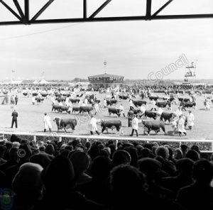 Great Yorkshire Show, 1957